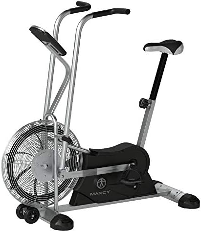 Dual Action Air Resistance Fan Bike